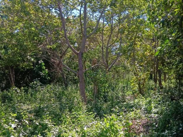 Terreno en Venta en Ataco Ahuachapan