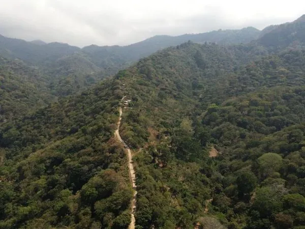 Finca de café de estricta altura en Venta en Tacuba Ahuachapán