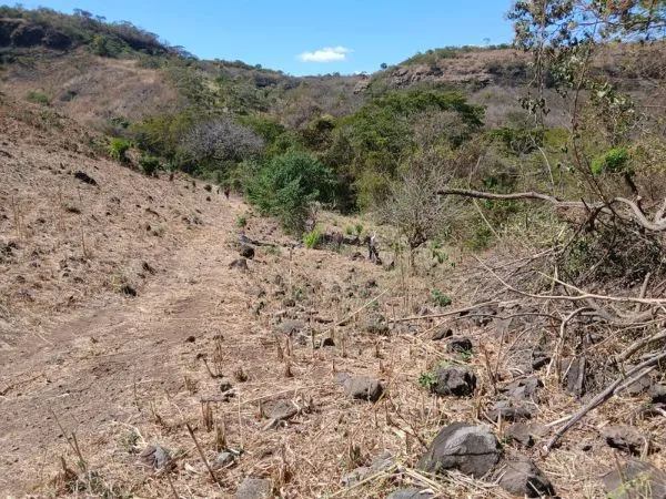 Terreno Agrícola de 30 Mz con Río en San Matías La libertad Norte