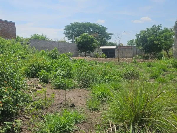 3 Lotes Planos en Lotificación San Nicolas, Santa Ana.