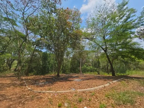 Terreno en Venta Contiguo a El Trébol Santa Ana