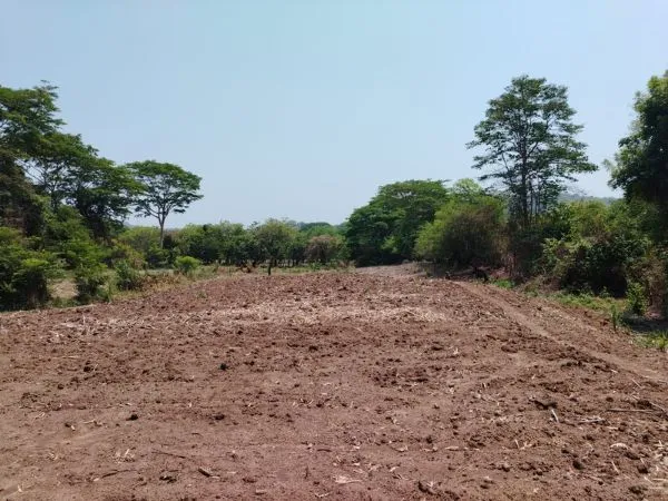 Terreno para Agricultura en Venta sobre Carretera a Metapán Santa Ana